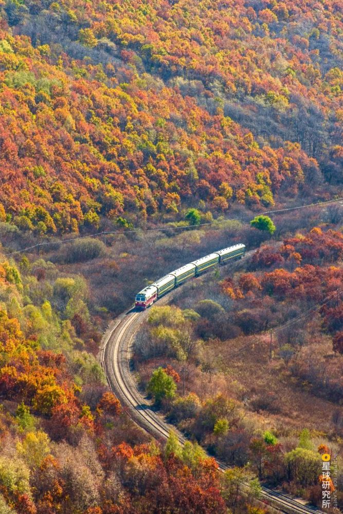 摄影师|植树造林，如何改变中国？
