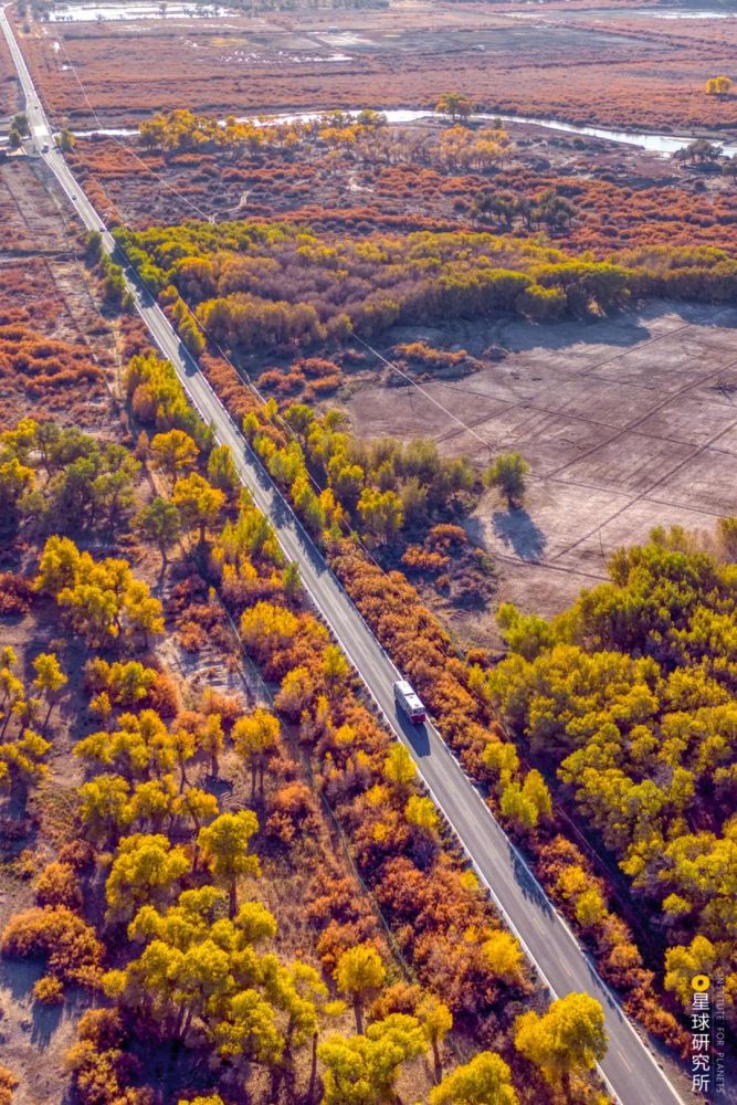 摄影师|植树造林，如何改变中国？