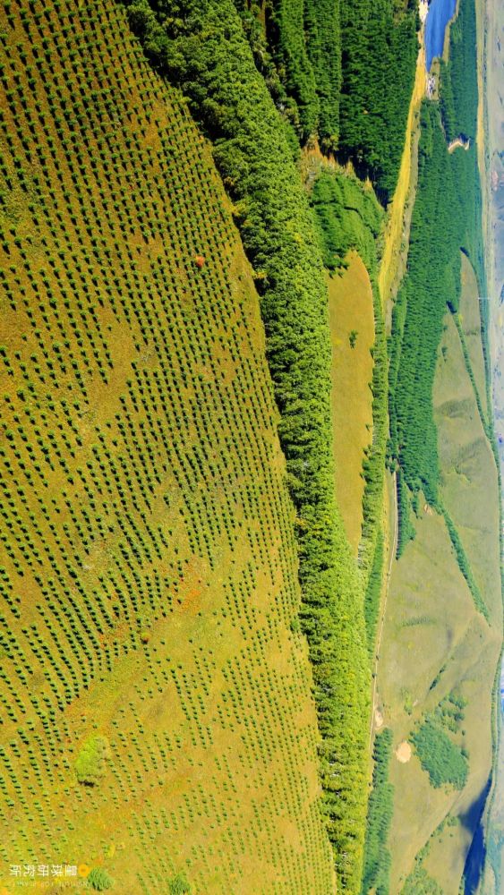 摄影师|植树造林，如何改变中国？