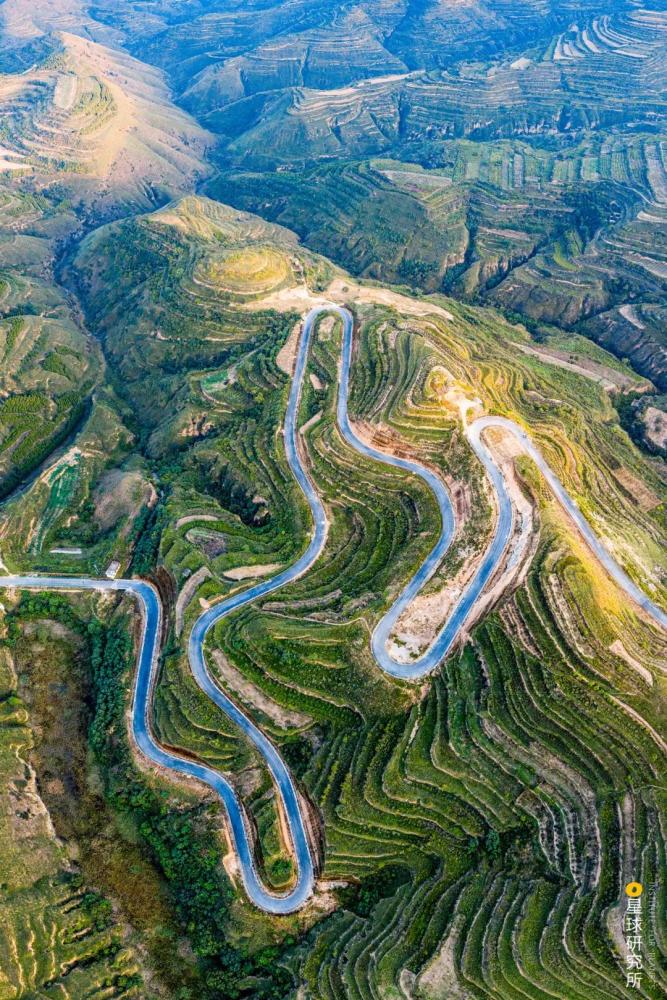 摄影师|植树造林，如何改变中国？