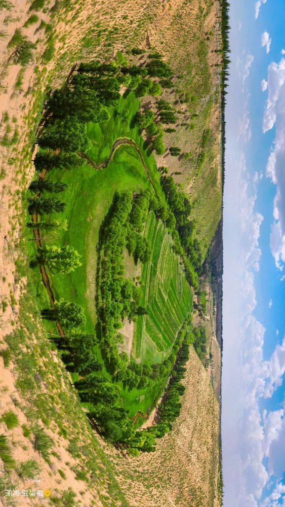 摄影师|植树造林，如何改变中国？