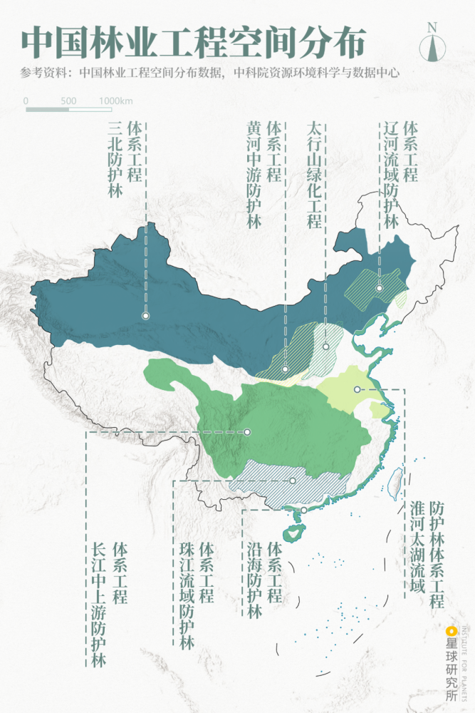 摄影师|植树造林，如何改变中国？