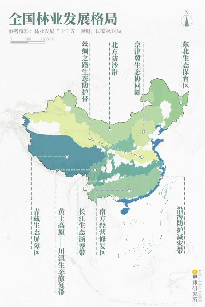 摄影师|植树造林，如何改变中国？