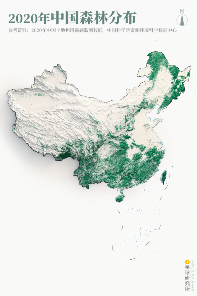 摄影师|植树造林，如何改变中国？