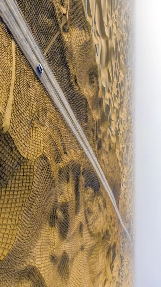 摄影师|植树造林，如何改变中国？