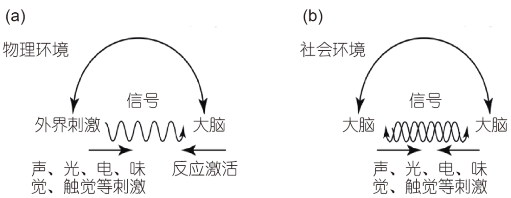 开颅|脑科学日报：脑机AR头显即将面世：不用开颅，也能意念操控？