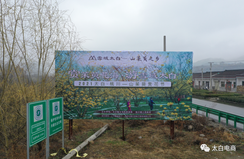 21 赏茱萸花海游雪域太白 山茱萸赏花节活动开幕 腾讯新闻