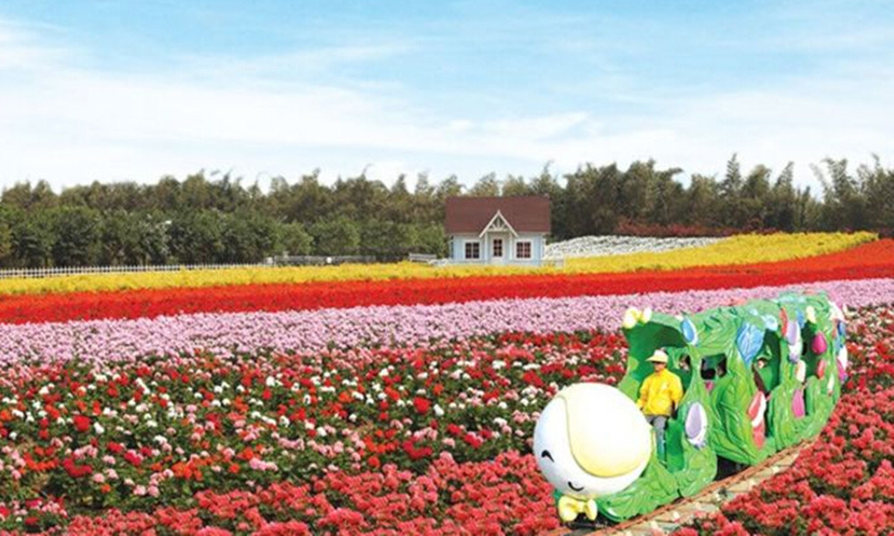 花城看花,在广州,春天不可错过的好去处