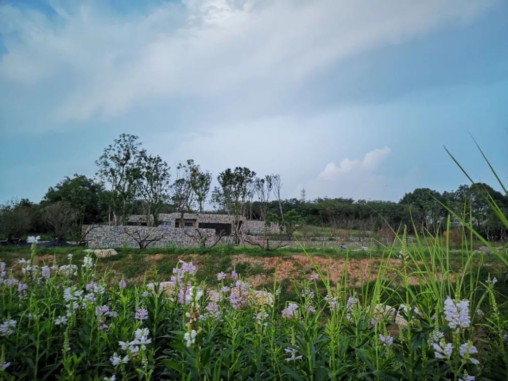 地址:成都玉石湿地公园 门票:免费 满满汽车元素 集汽车展览,f4赛道