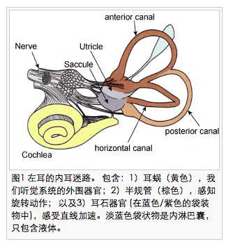 游戏|3D游戏玩吐了：好游戏，我不配拥有