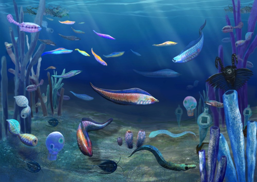 张志飞教授领导的研究团队对寒武纪大爆发时期海洋生物寄生现象起源