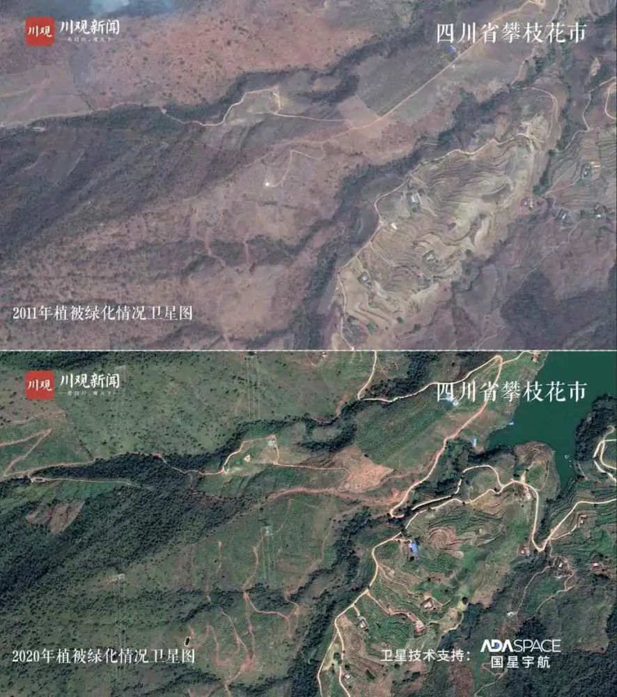 太震撼过去十年间,四川省的森林覆盖率,从2011年的35