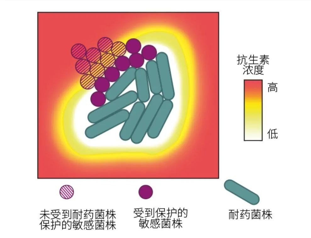 治脚气最有效的药膏图片_治脚气最有效的方法什么药膏_治脚气最好的药膏