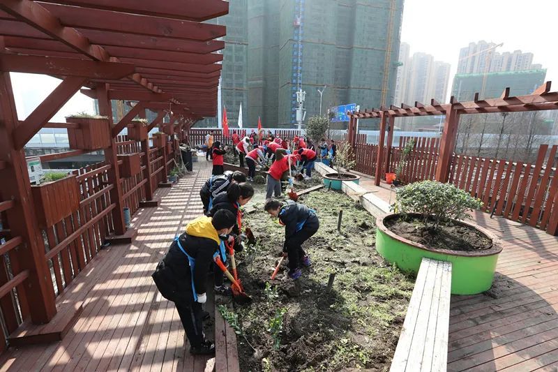楼顶上的植树节张家湾小学星空农场重启