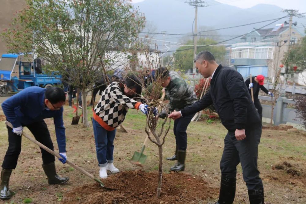 今日植樹節象山各地不負春光添新綠