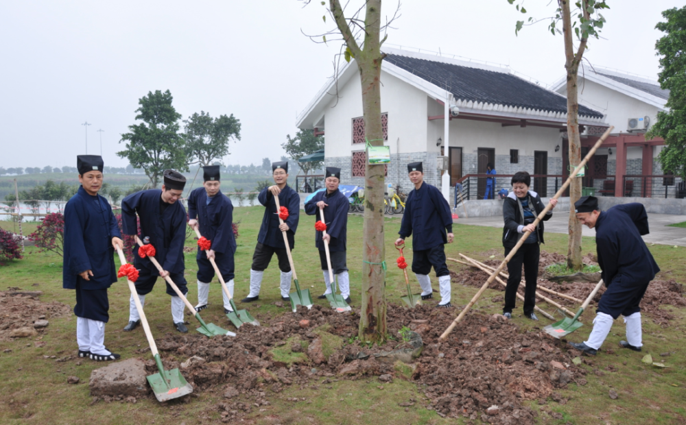 植树当今道教亟待倡导的善举弘道堂