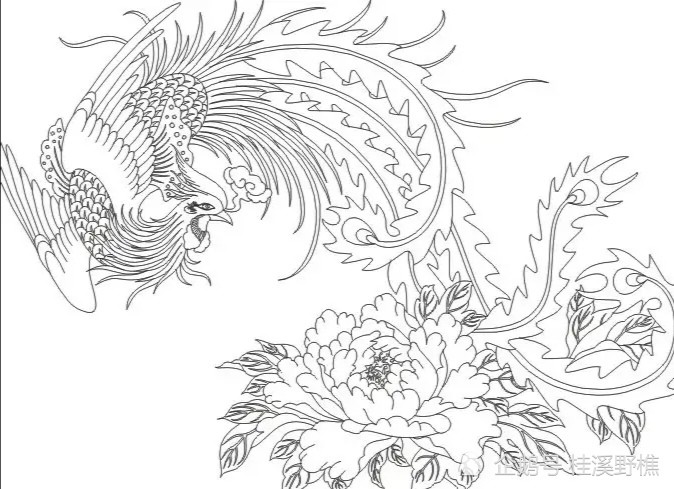 干货凤纹很难画从线条到造型线稿示范教你画收藏临摹学习