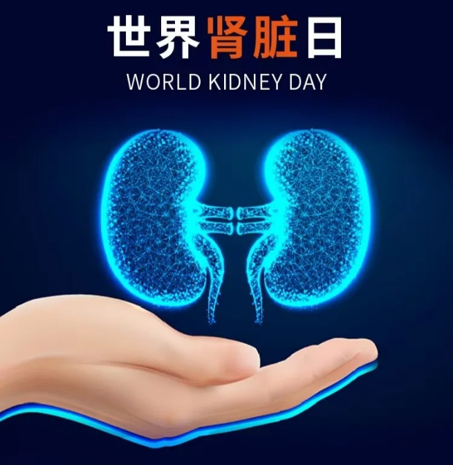 世界肾脏病日|世界肾脏病日｜你的肾脏还好吗？
