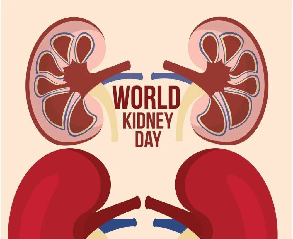 世界肾脏病日|世界肾脏病日｜你的肾脏还好吗？