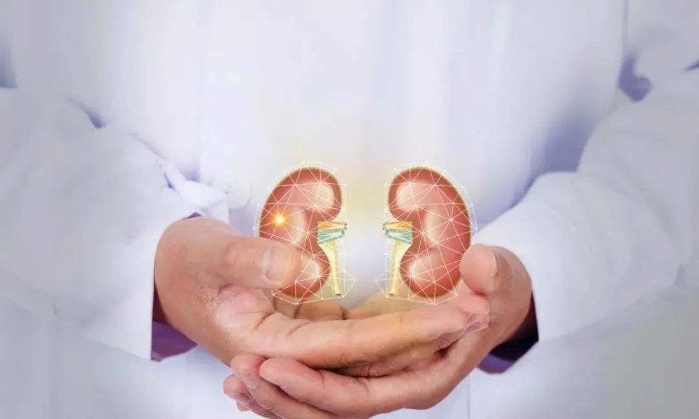 世界肾脏病日|世界肾脏病日｜你的肾脏还好吗？