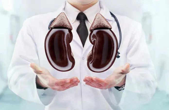 世界肾脏病日|世界肾脏病日｜你的肾脏还好吗？