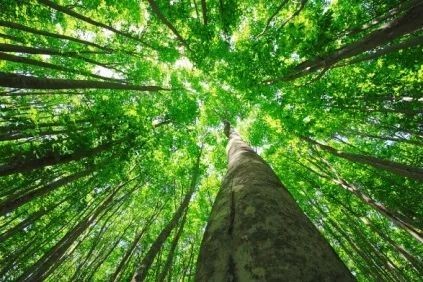 原发性高血压|小心这种病！患病率高、致残率高、死亡率高！我国患者人数已达2.45亿