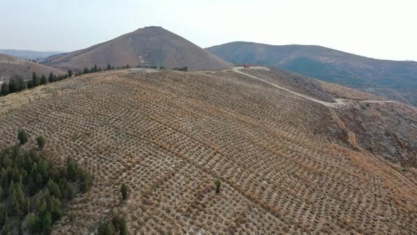 "树"立河南美】植树造林前后对比强烈!从淅川变化看绿色河南