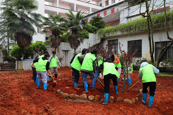 植树节他们种下希望