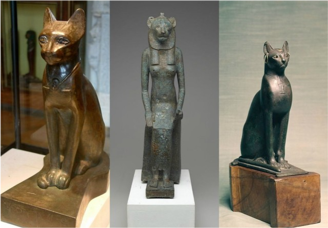 猫的千年进化史|人类为何如此喜爱猫?