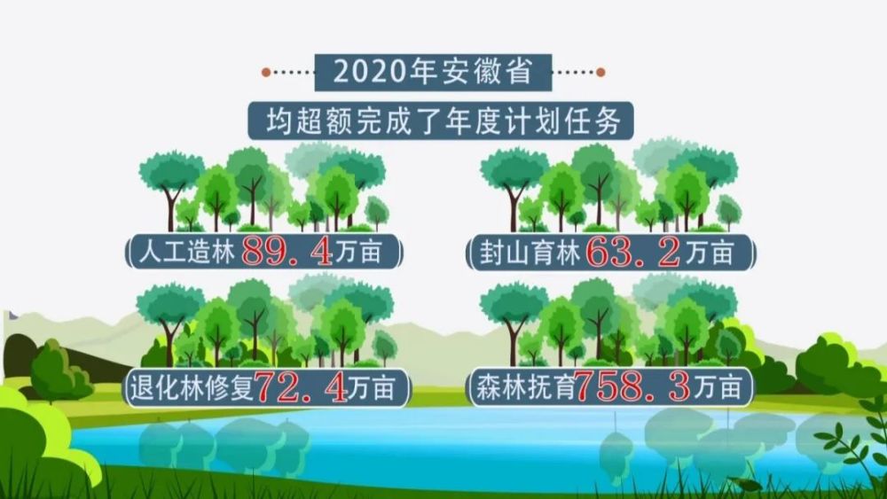 推深做实林长制安徽省森林覆盖率突破30视频