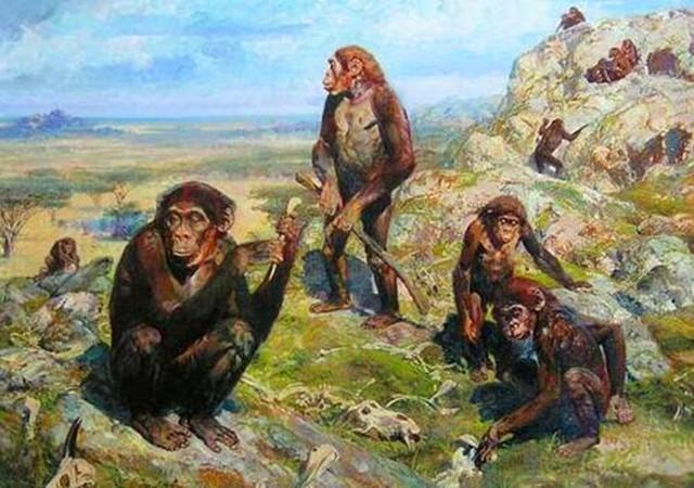 科学家发现巴拿马猴可能进入了石器时代 它们会威胁到人类吗 腾讯新闻