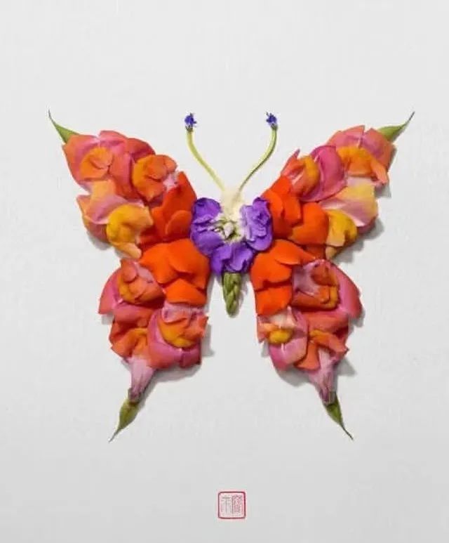 他用植物拼成漂亮的动物图案,价格贵得离谱,让人领略意境之美-腾讯