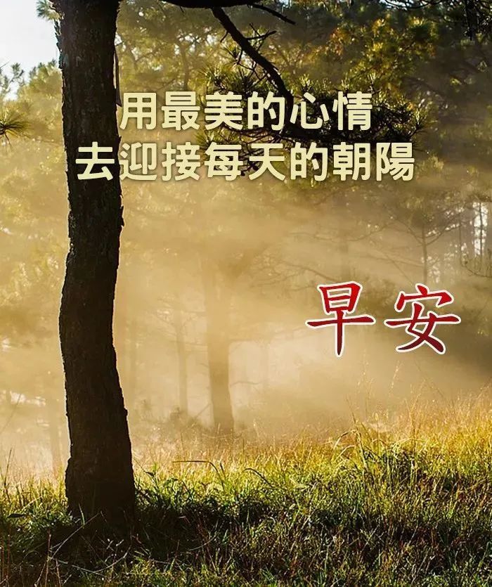 最新漂亮春天風景早上好圖片帶祝福語微信早上好問候祝福語風景圖片