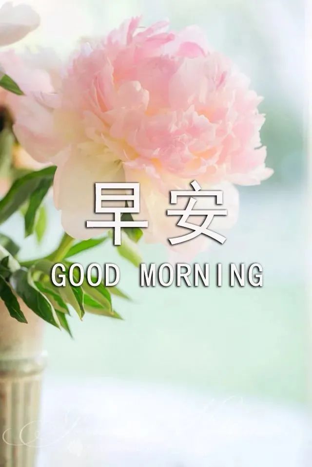 最新漂亮春天风景早上好图片带祝福语微信早上好问候祝福语风景图片精