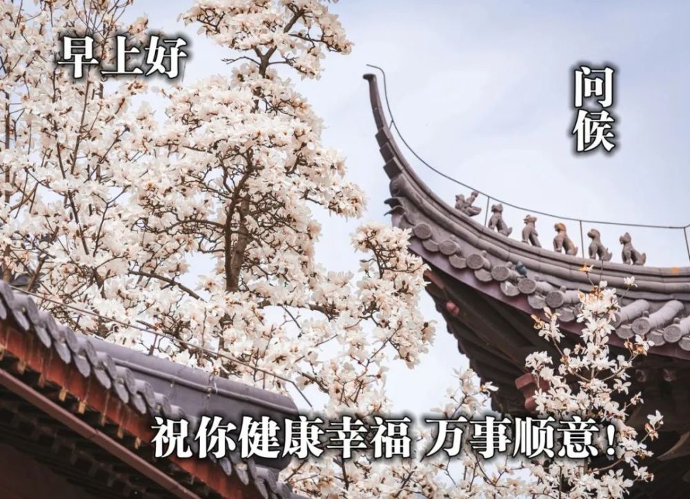 2021最新早安问候图片祝福春天早上好祝福图片分享
