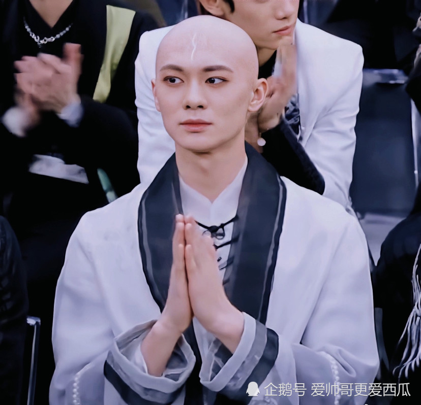 梁森头发是掉光的(梁森头发为什么掉光了)