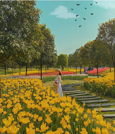 重庆最全赏花地点合集,一定要收藏