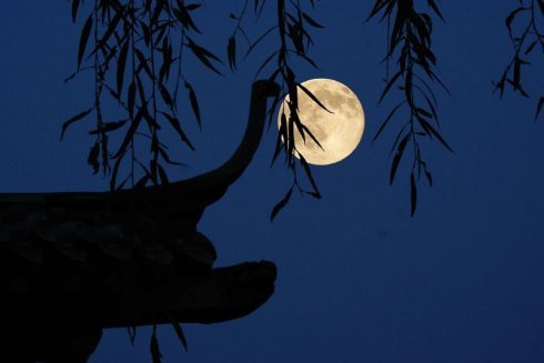 25,清风带去我的祝福,明月捎走我的问候,送你一丝风儿,赠你一缕月儿