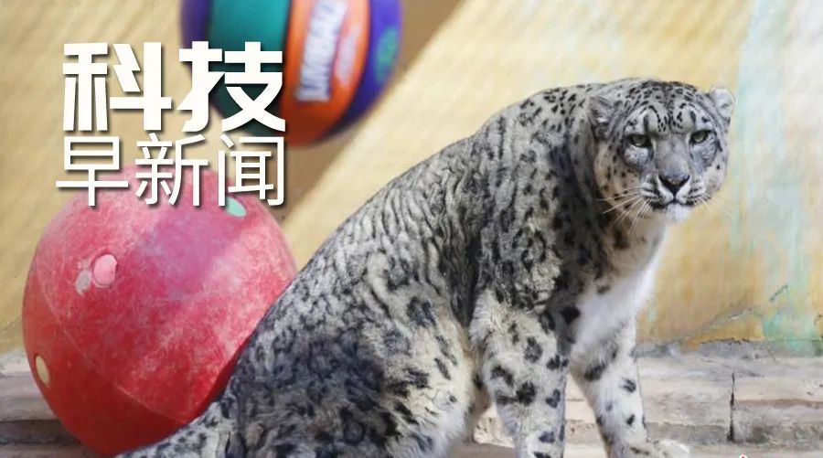 长征七号|长征七号改遥二运载火箭发射成功；2021年考研国家线公布丨科技早新闻