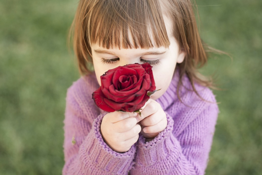 长征七号|长征七号改遥二运载火箭发射成功；2021年考研国家线公布丨科技早新闻