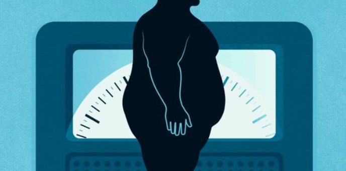 減肥食譜健康飲食_減肥食譜健康科學_健康減肥食譜