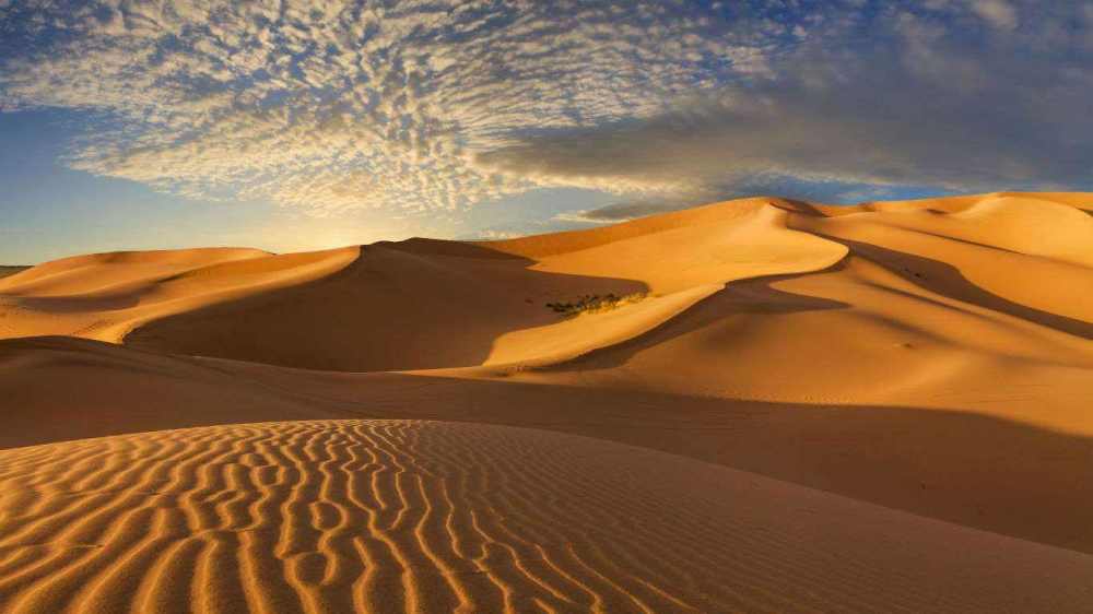 沙子|迪拜每年花4亿美元进口沙子？全球沙子稀缺超乎你的想象！