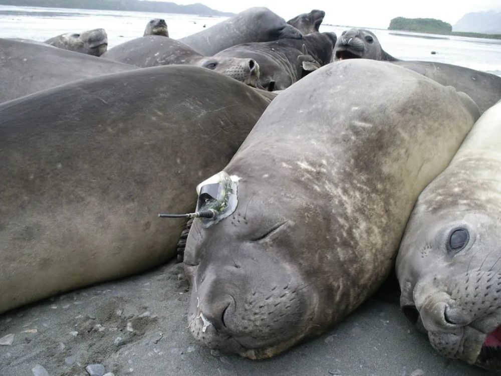 体温|我们的大海正在发烧？体温多少度了？该如何测量？快跟科学家一起来看看吧！