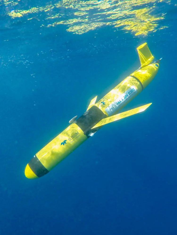 体温|我们的大海正在发烧？体温多少度了？该如何测量？快跟科学家一起来看看吧！