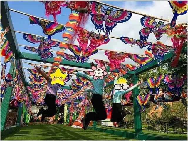 3月13日大浦第二届亲子欢乐风筝节盛大开幕