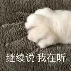 猫格|人有人格，猫也有猫格，猫猫性格心理学来了解下