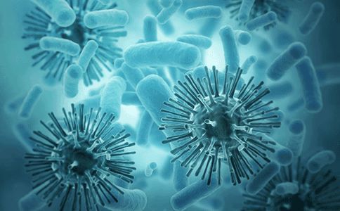 乙肝病毒感染|乙肝多步骤探索，介绍PHH/PTH优缺点，实验模型研究进展