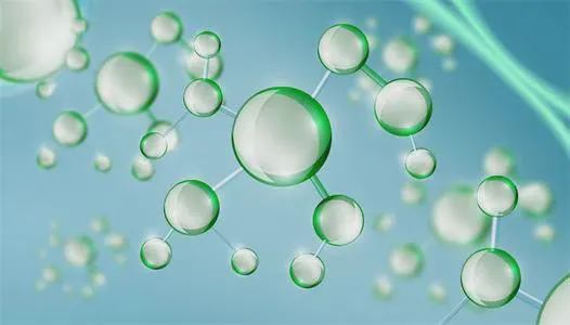 乙肝病毒感染|乙肝多步骤探索，介绍PHH/PTH优缺点，实验模型研究进展