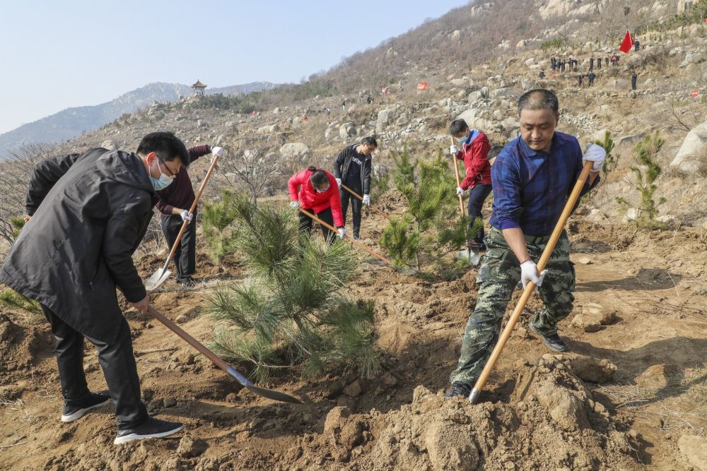 组图绿化荒山义务植树