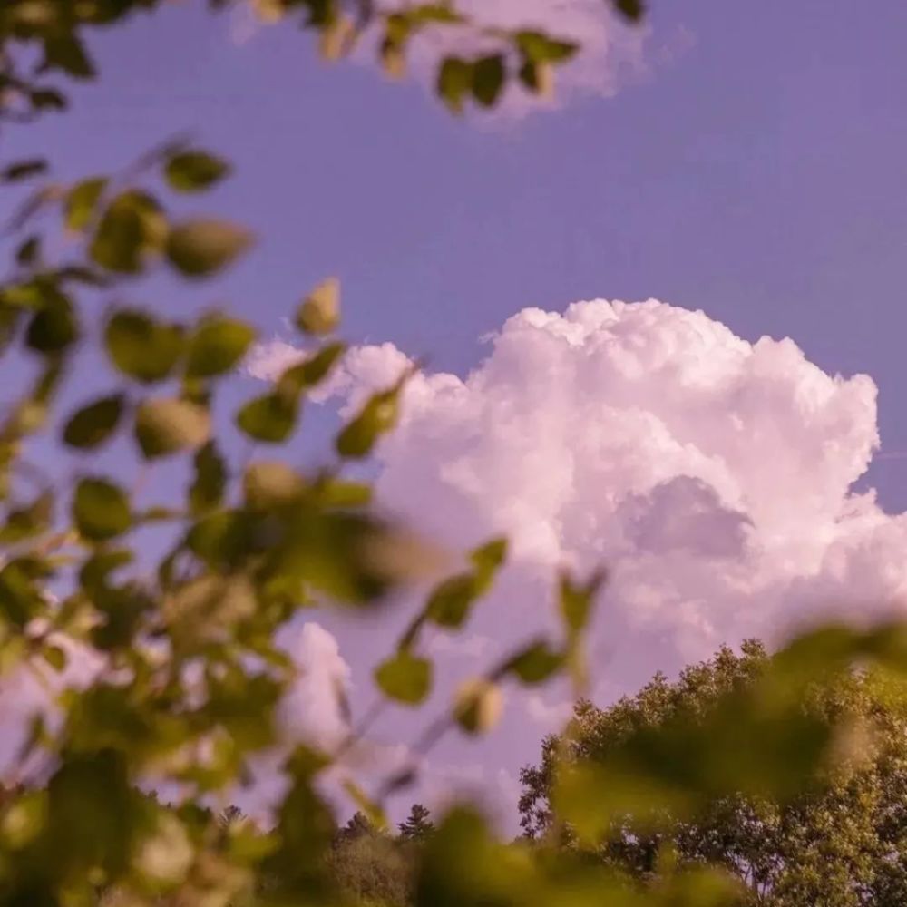 温柔小仙女的朋友圈背景|蓝,紫,粉色系